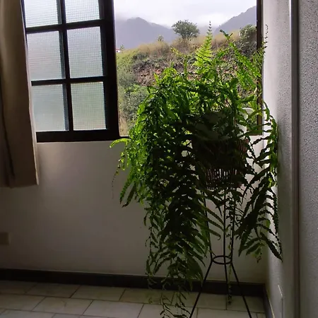 ゲストハウス Narciso's House *