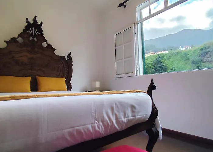 Narciso's House 招待所