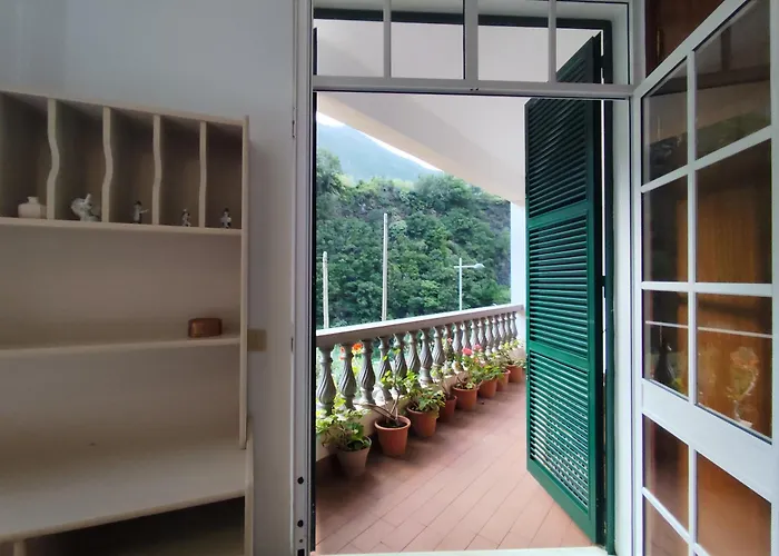 Narciso's House 招待所