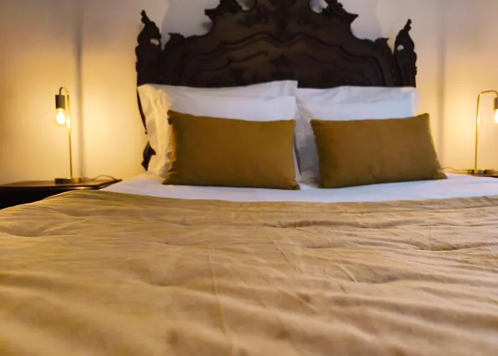 招待所 Narciso's House *