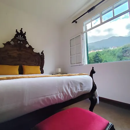 Narciso's House 게스트하우스