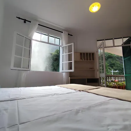 Narciso's House 게스트하우스