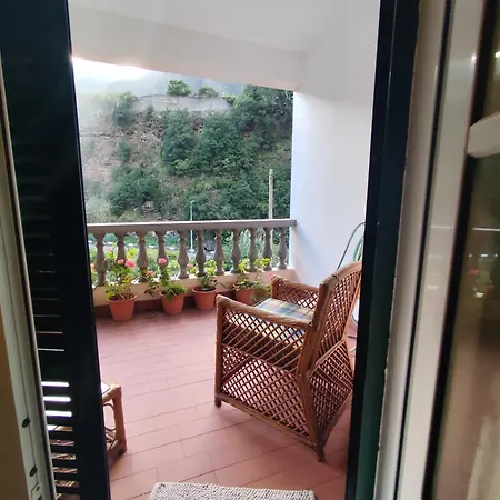 Narciso's House 게스트하우스 *