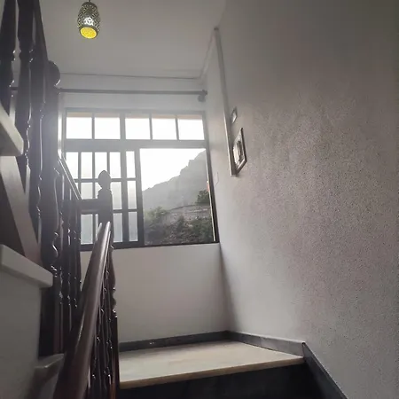 招待所 Narciso's House