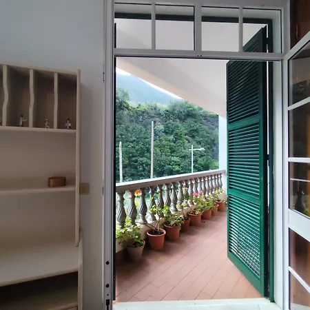 Narciso's House 게스트하우스